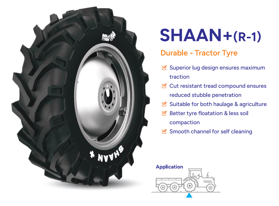 SHAAN+