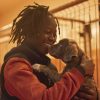 Animal shelter crisis in California